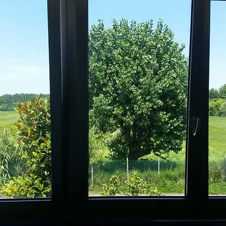 Mamma Casa Superior 아파트 리미니